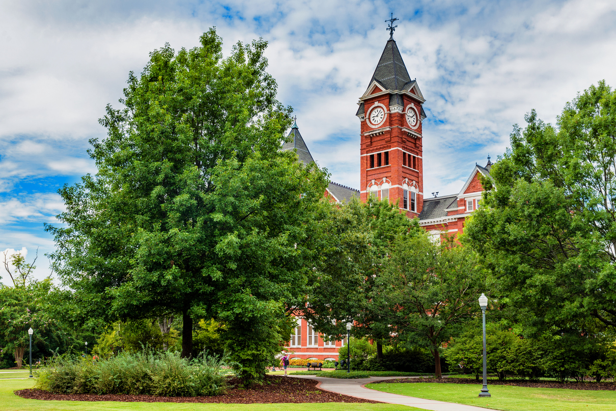 Panoramic Image of Auburn, AL